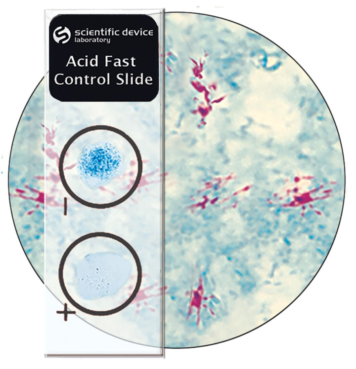 Control Slides For Histopathology, Cytology, ... – Innovative Medi Tech