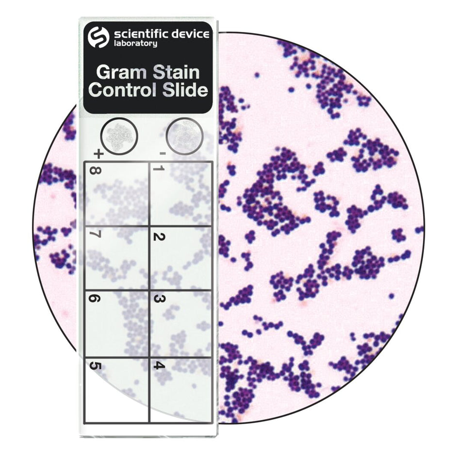 Stain Rite For Slides Histopathology – Innovative Medi Tech