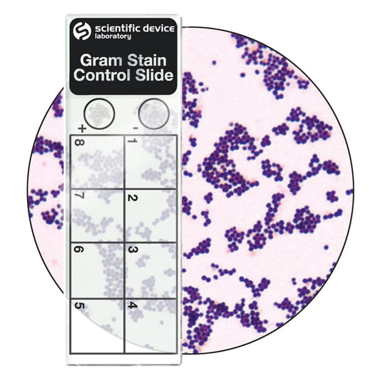 Gram Stain Control Slide - Cat# 360