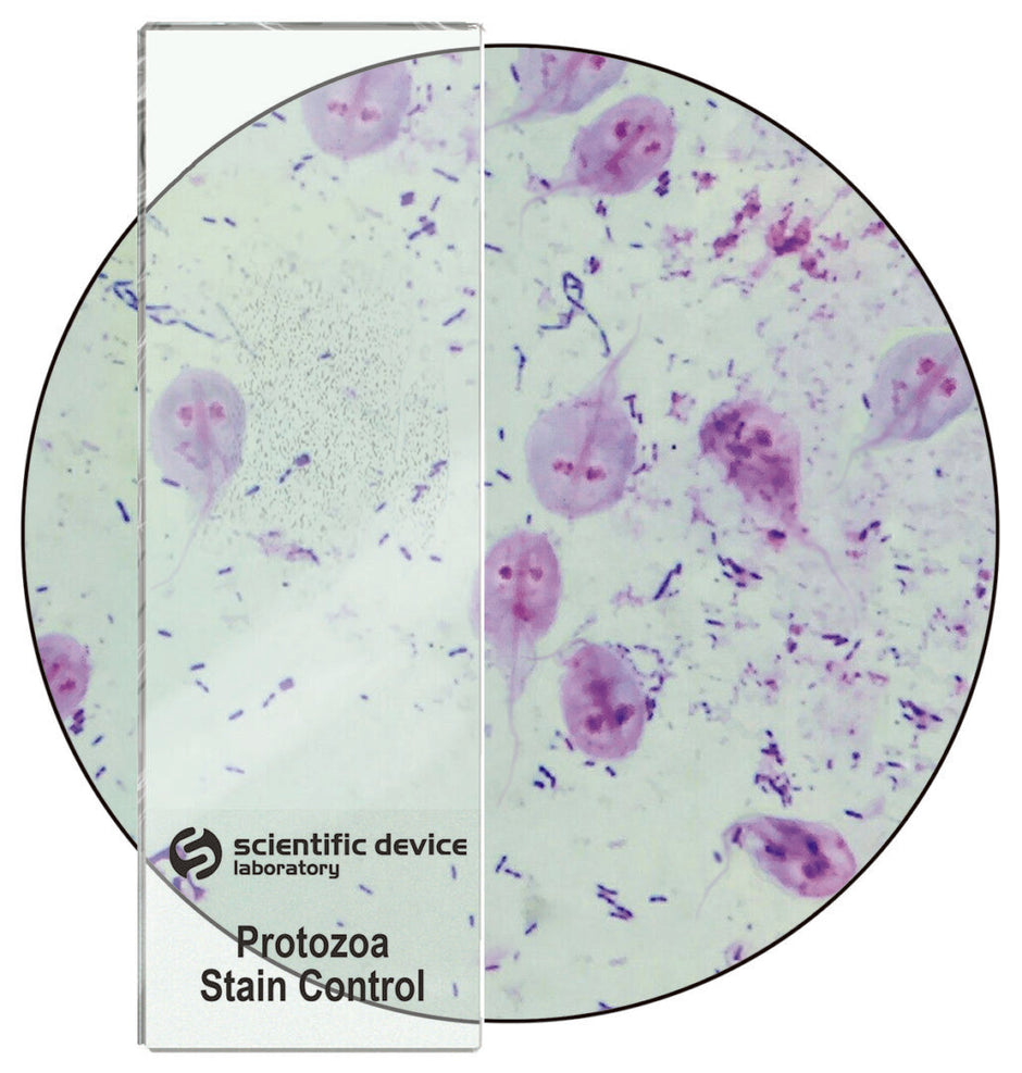 Control Slides For Histopathology, Cytology, ... – Innovative Medi Tech
